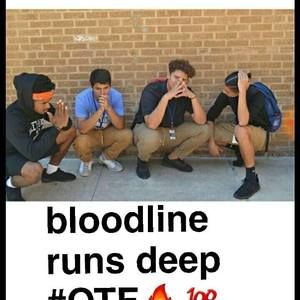 Meet your Posher, Eli